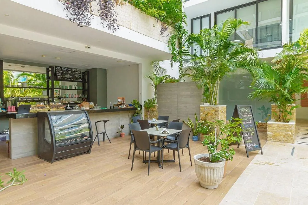 Lovely Space 4 Blocks From The Beach Apartment Playa del Carmen